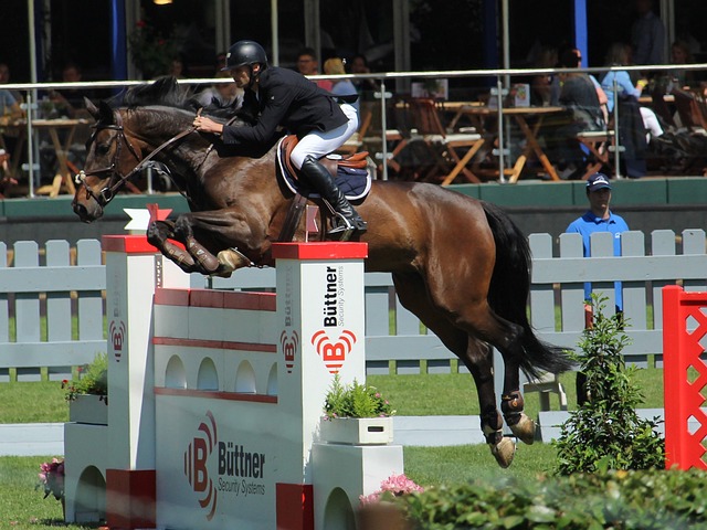 队长期以来 队长期以来