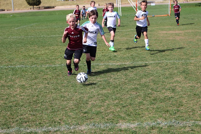 他的加盟让 他的加盟让