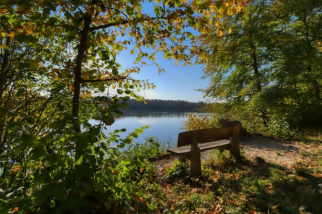 直是中国篮 直是中国篮