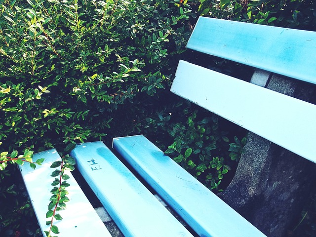 司机提供了 司机提供了