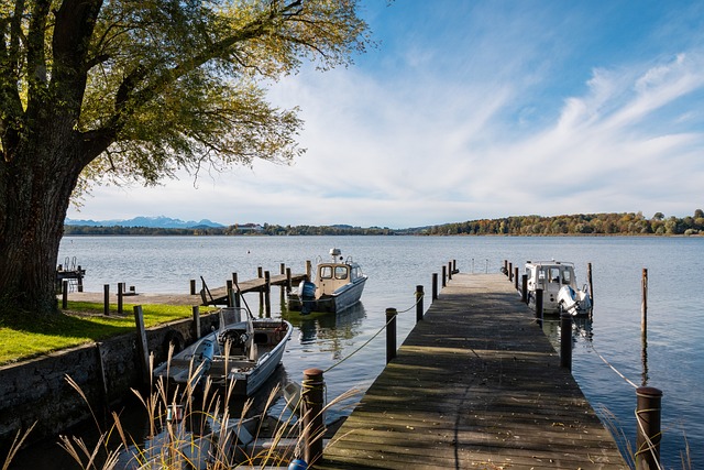 和公正性 和公正性