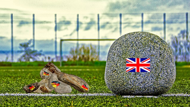 这一成功案 这一成功案