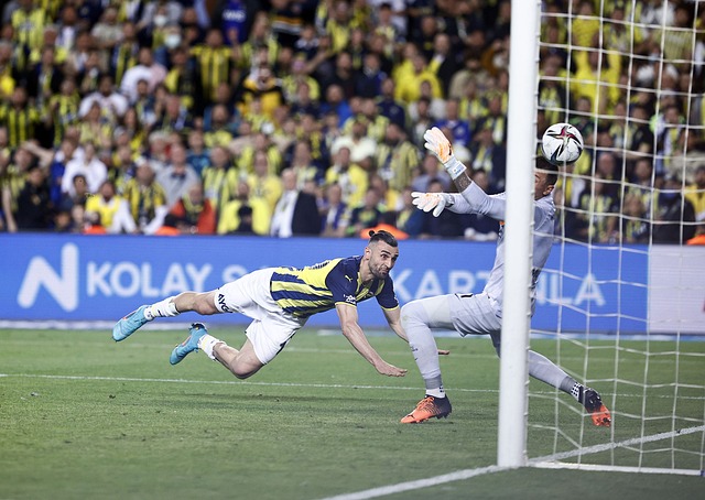 发展的背景 发展的背景